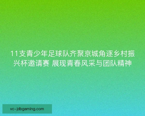 11支青少年足球队齐聚京城角逐乡村振兴杯邀请赛 展现青春风采与团队精神
